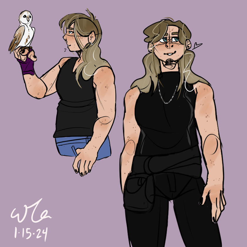 Cleaned, Colored (~$20)